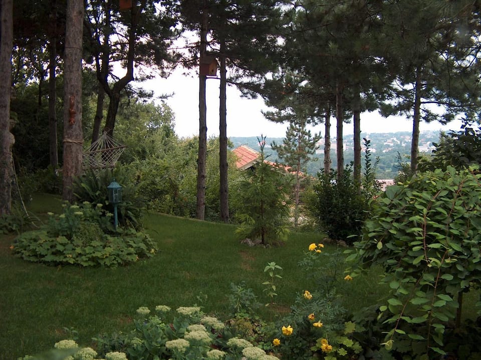 Kospela Villa Bed and Breakfast in Varna