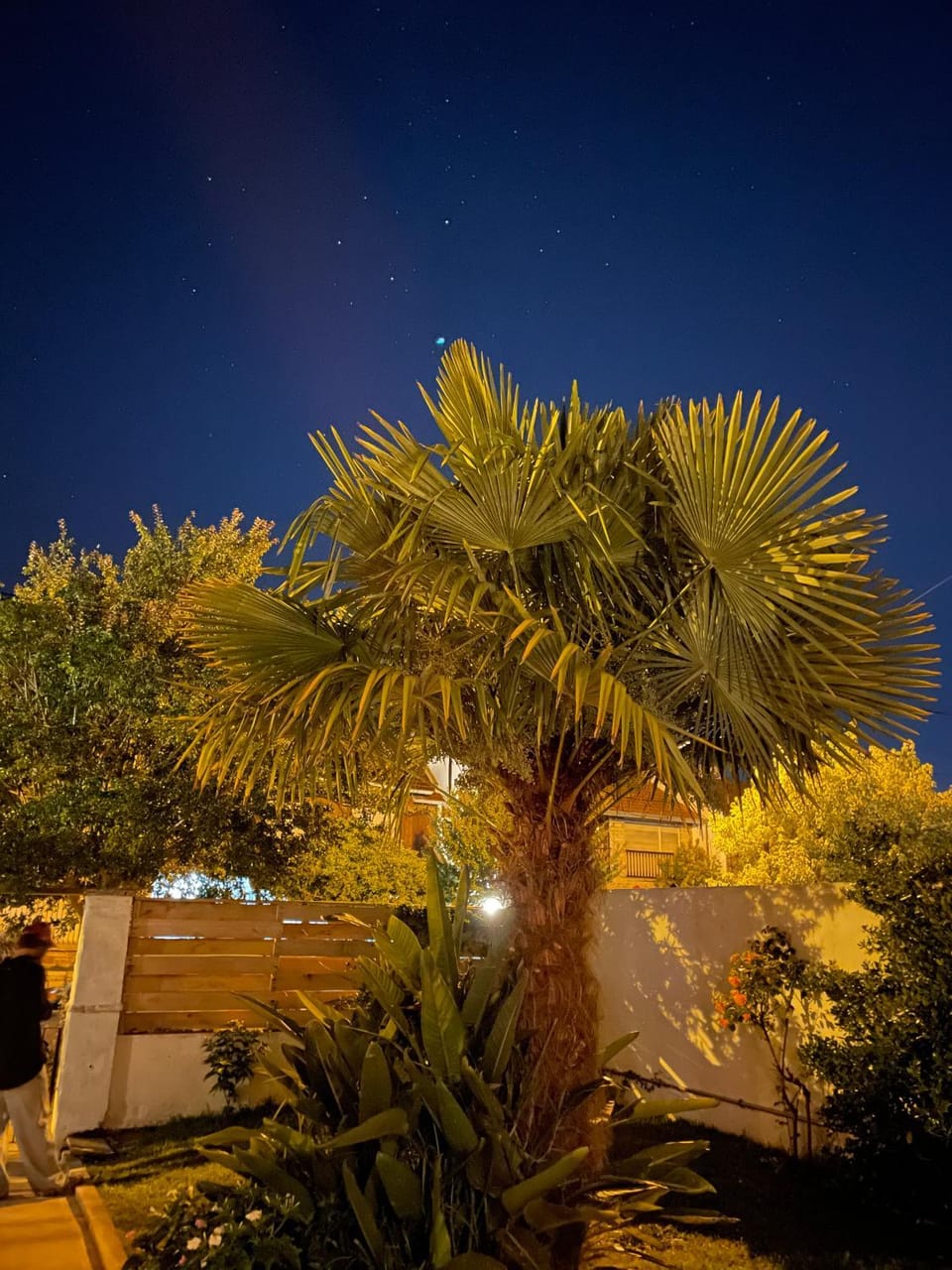 Casa Alvear Bed and Breakfast in Mar del Plata