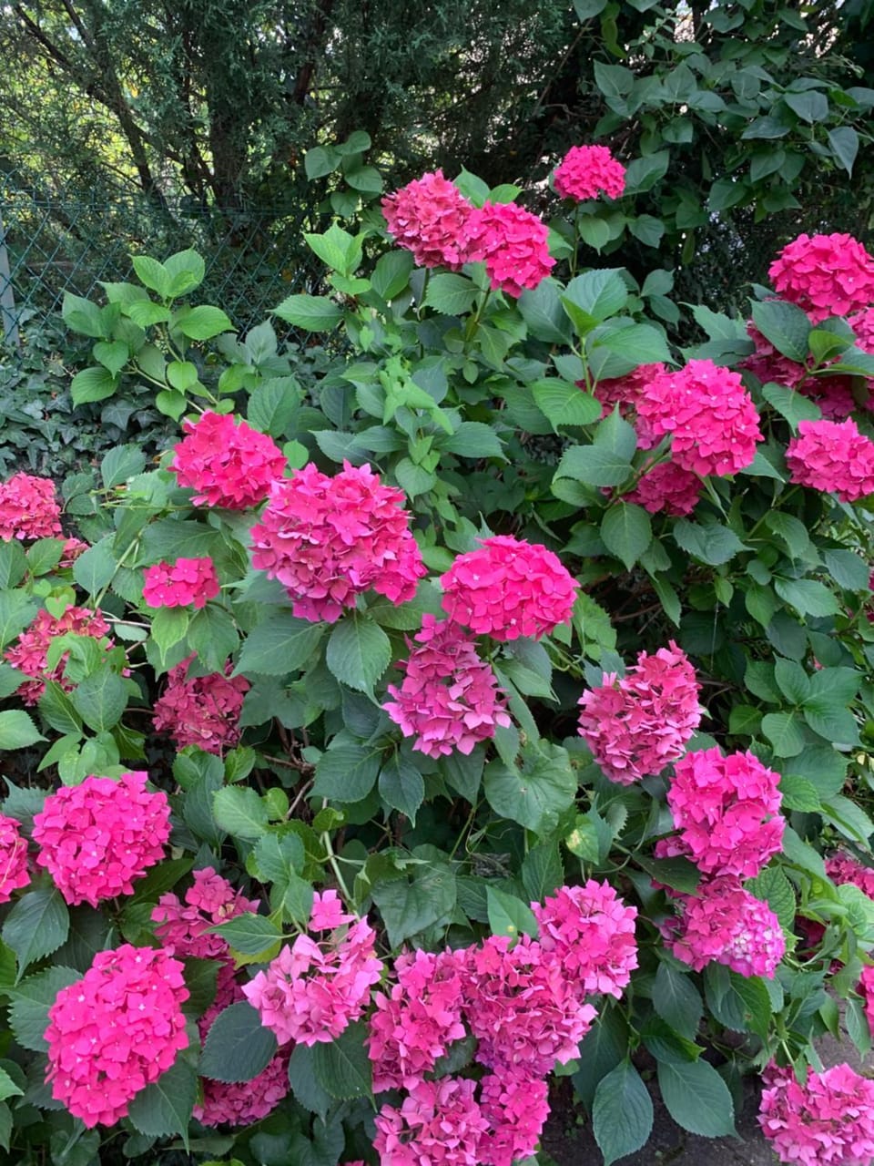 RESIDENCE ROKIA - Au fil de l*eau Apartment in Auvergne-Rhône-Alpes