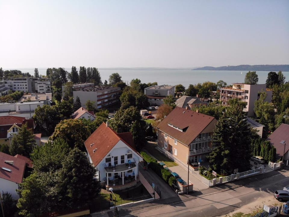 Bird's eye view, Street view