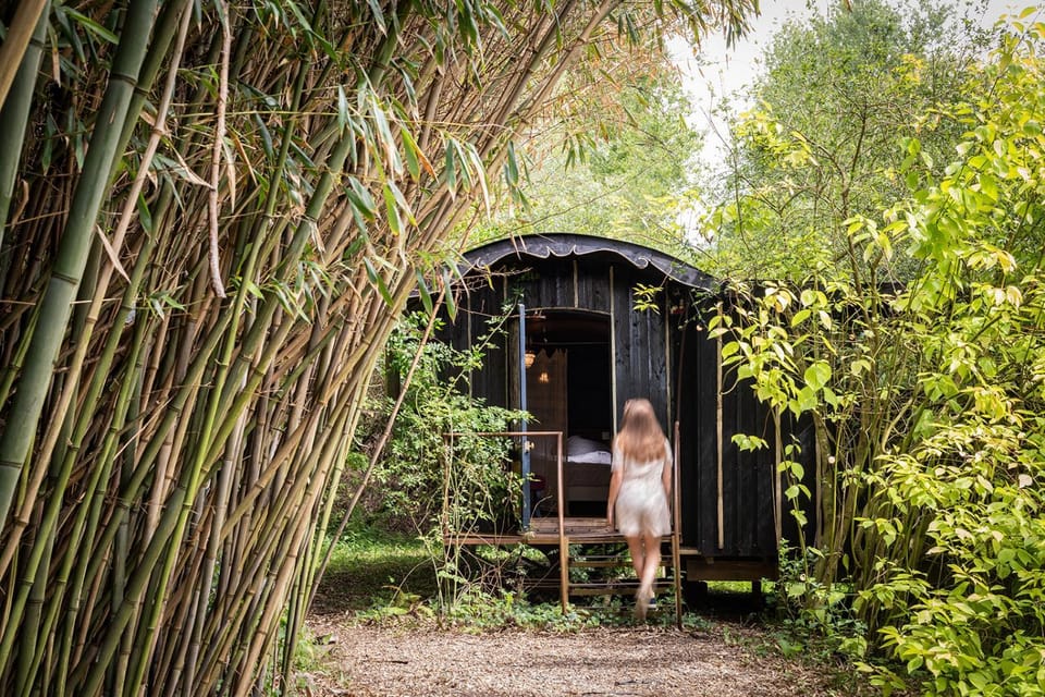 Les Cabanes Des Marais Bed and Breakfast in Hauts-de-France