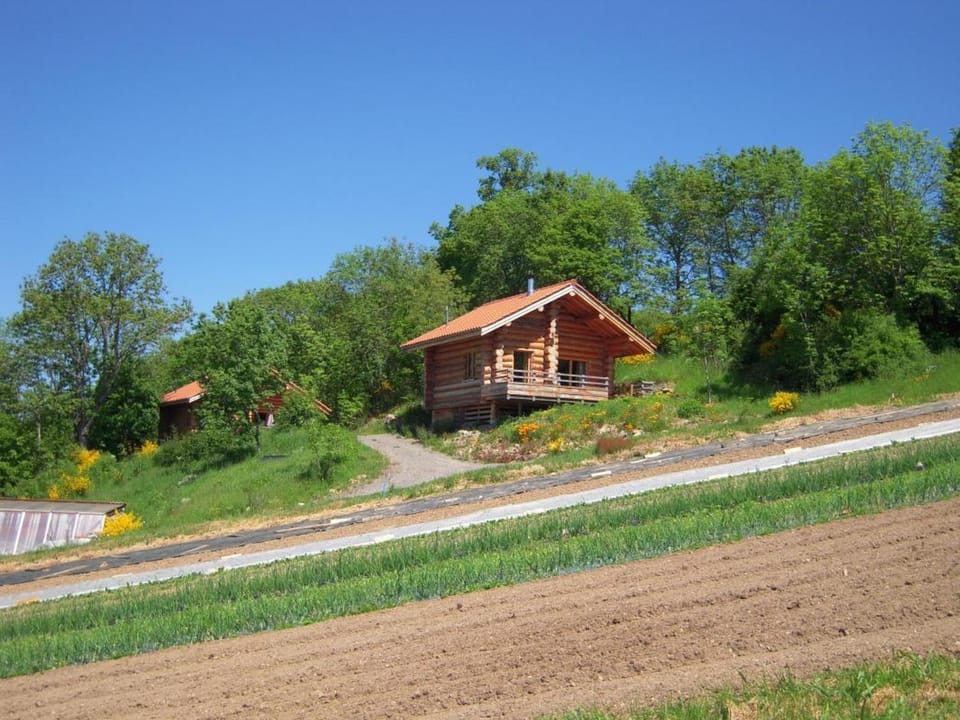 Chalet chaud, nature sauvage, internet PC, idéal randonnées - FR-1-496-184 House in Auvergne-Rhône-Alpes