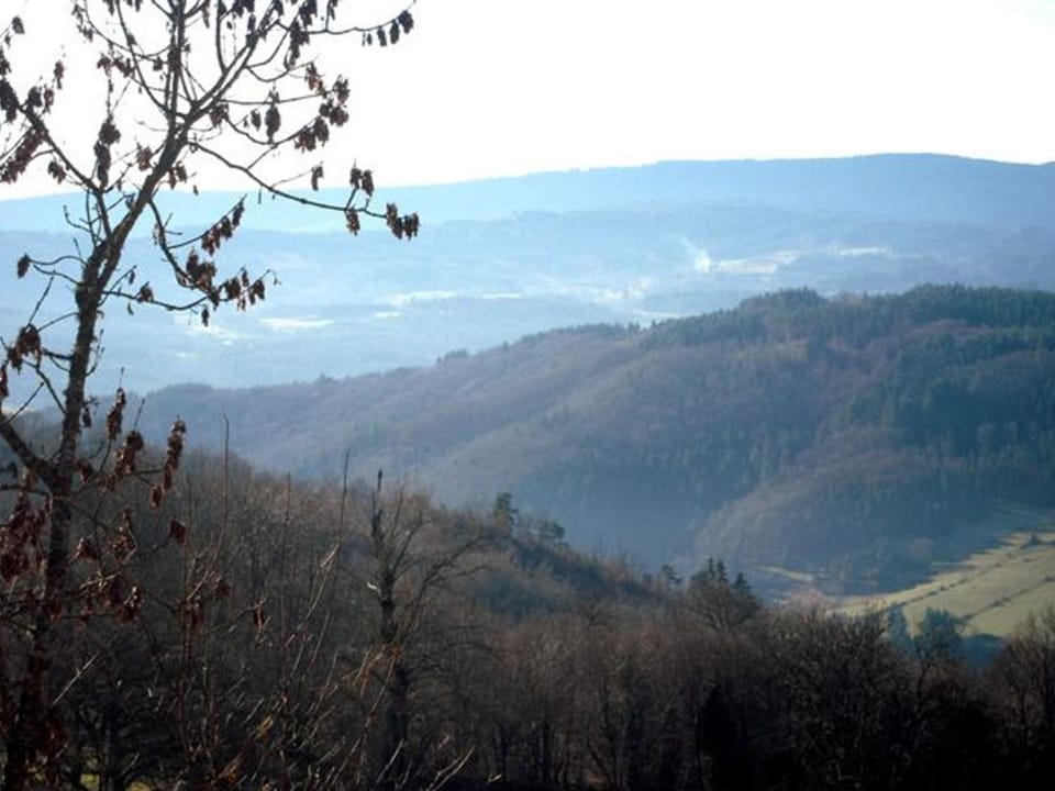 Chalet rustique avec poêle à bois - 3 pers, animaux admis - FR-1-496-187 House in Auvergne-Rhône-Alpes