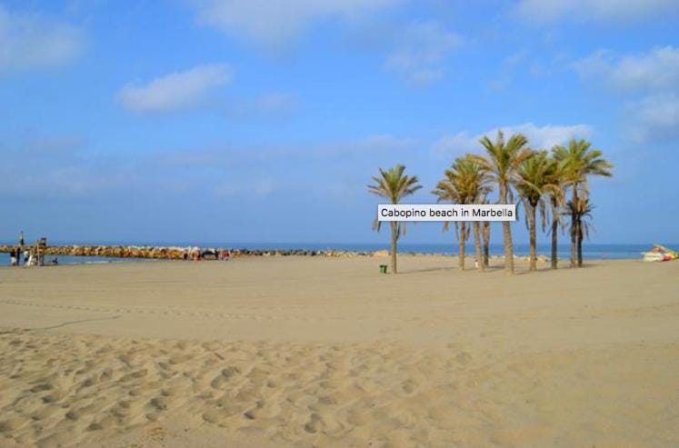 Beach