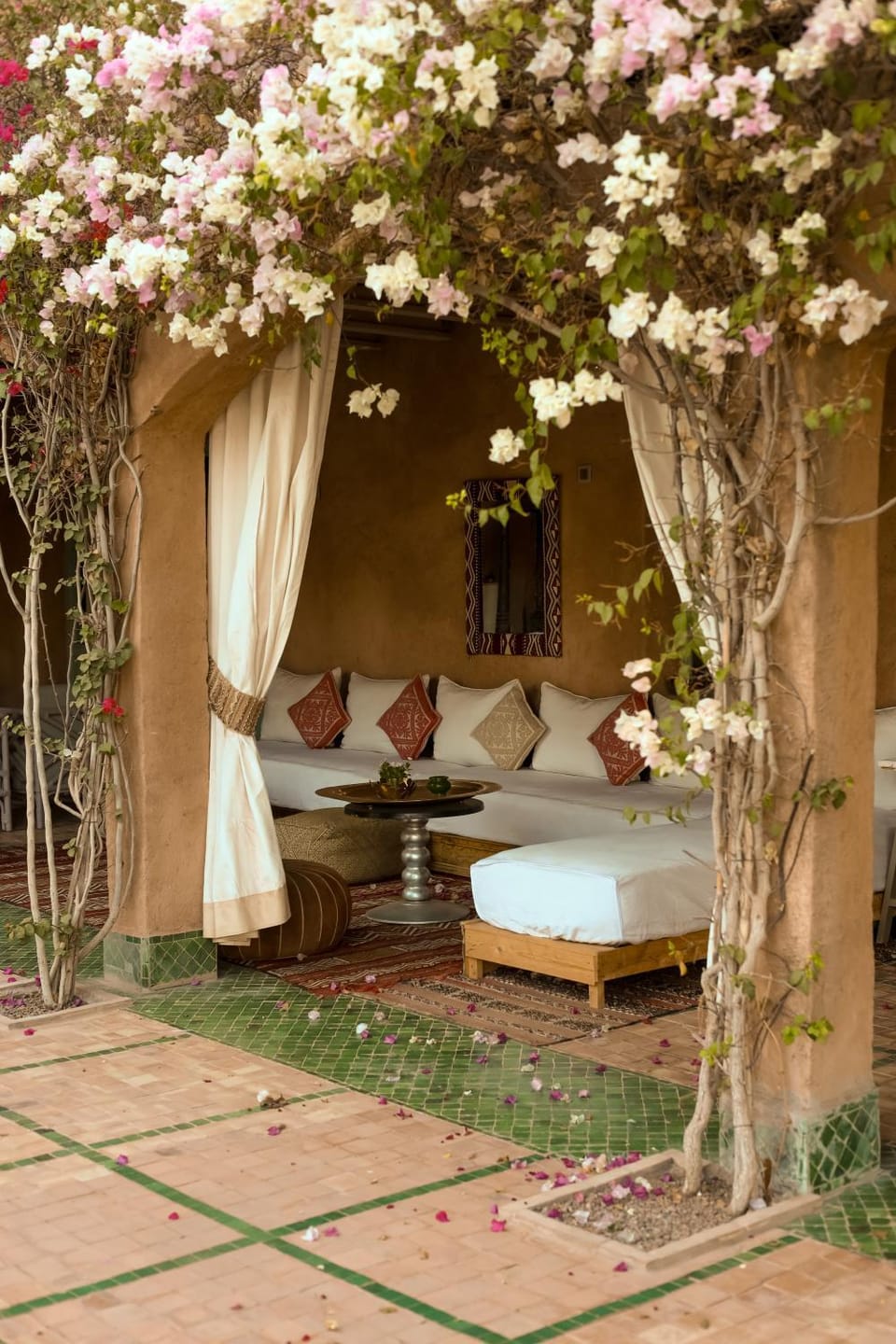 Patio, Garden
