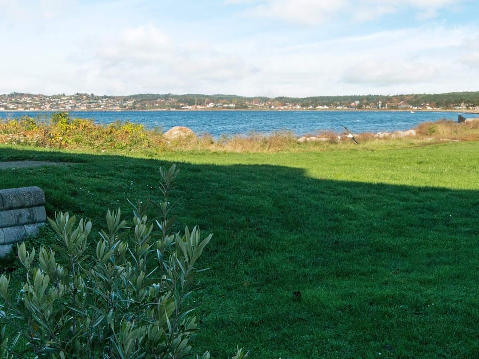 Lake view