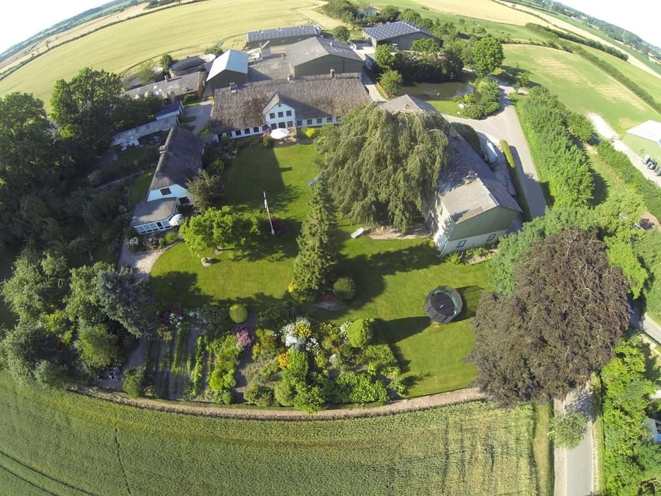 Bird's eye view, Garden view