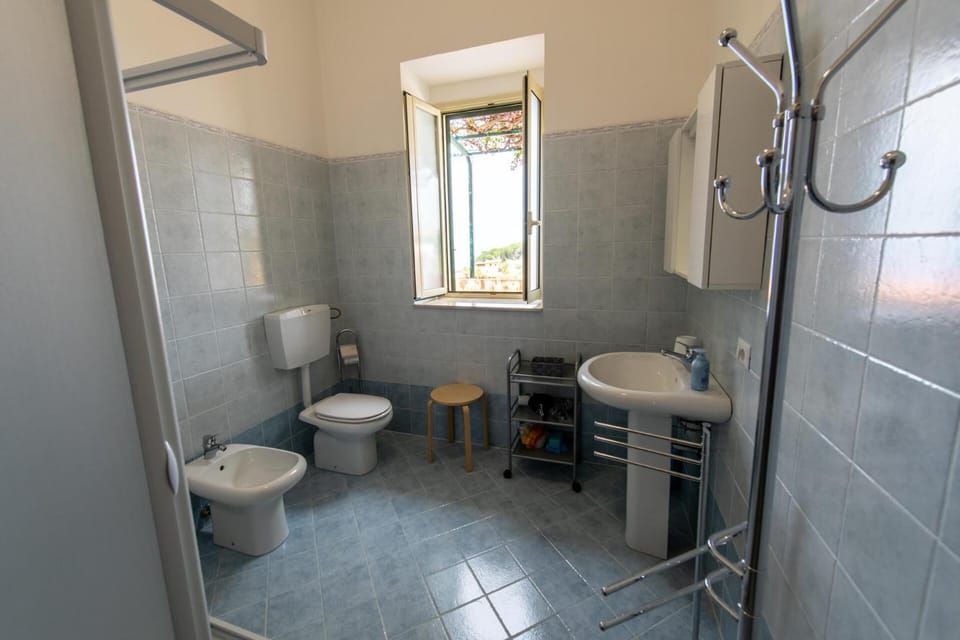 Shower, Toilet, Bathroom, bidet