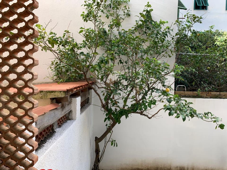 PIVARADA 50 Apartment in Alghero