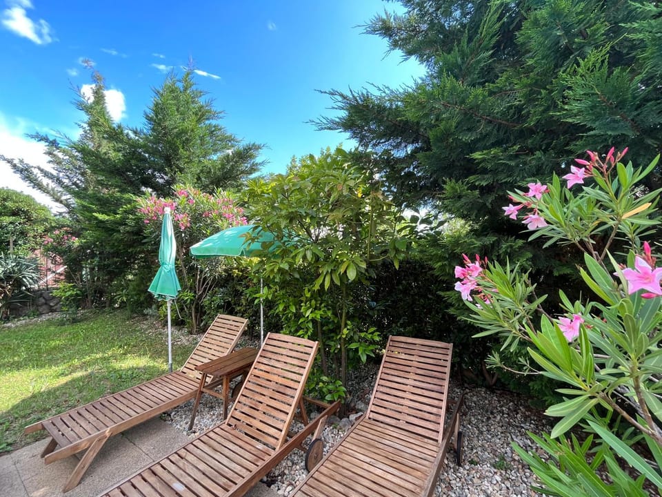 Garden view, sunbed