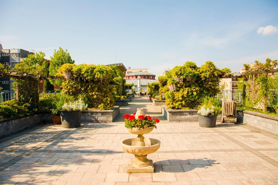 Garden, Balcony/Terrace