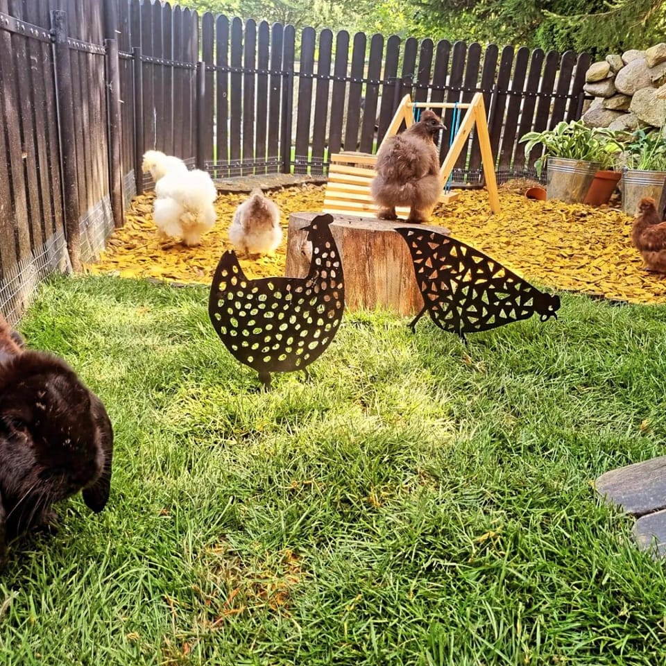 Garden, Animals