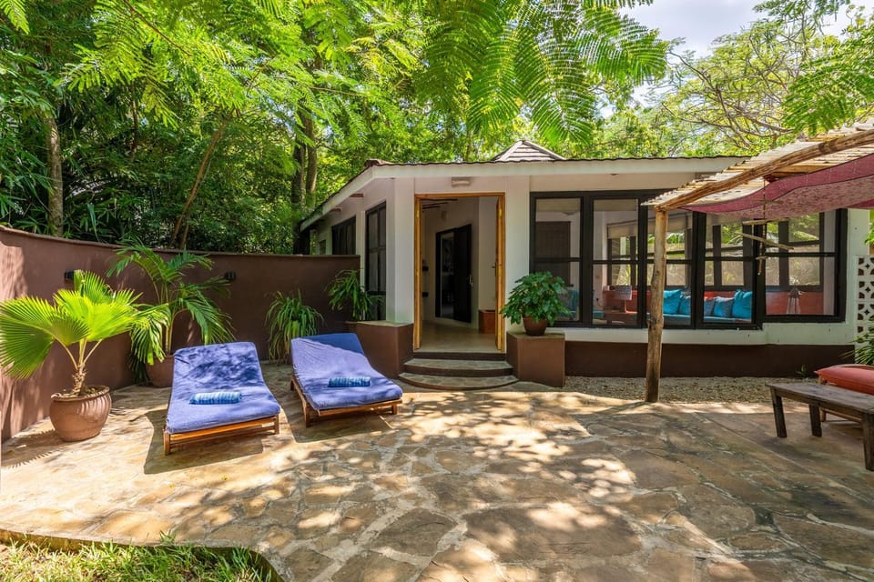 Property building, Patio, Garden, sunbed