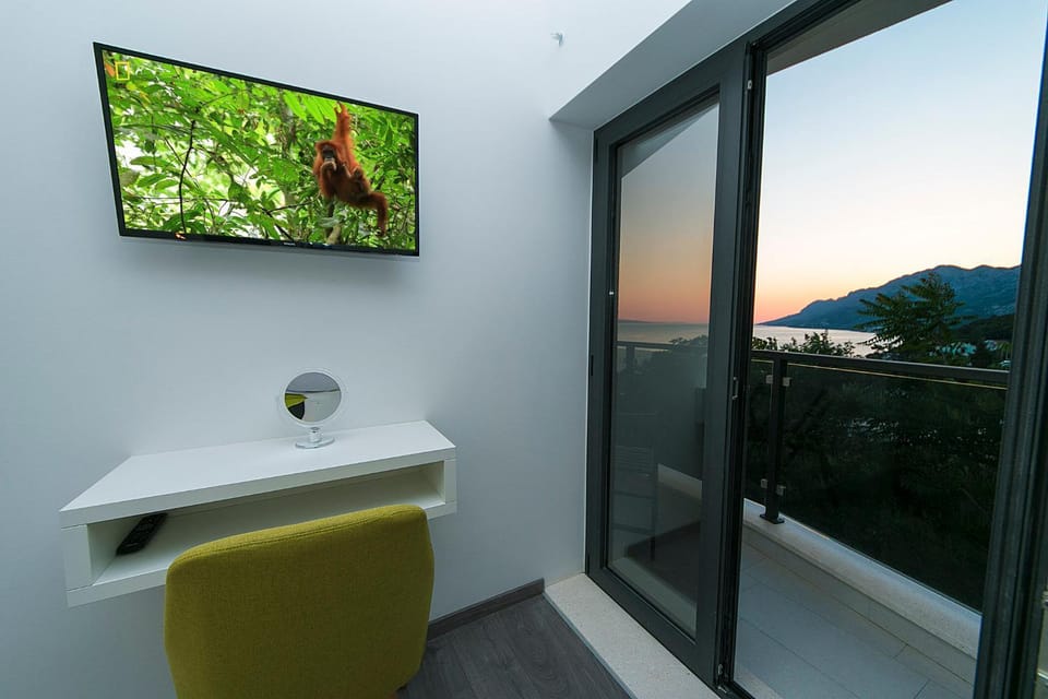 TV and multimedia, Other