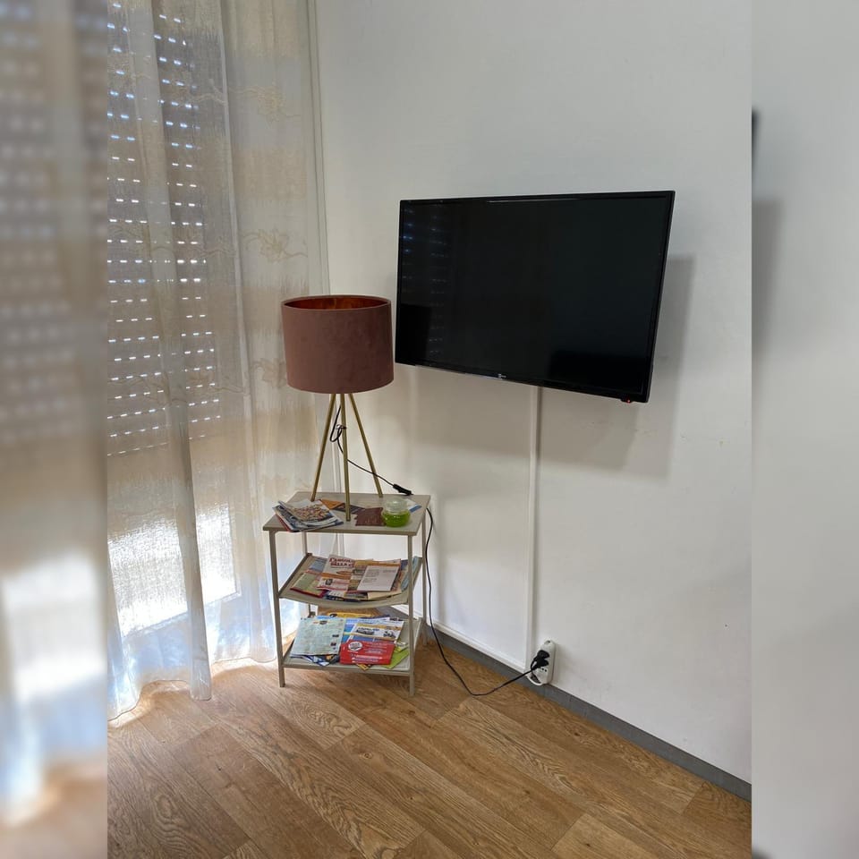 TV and multimedia