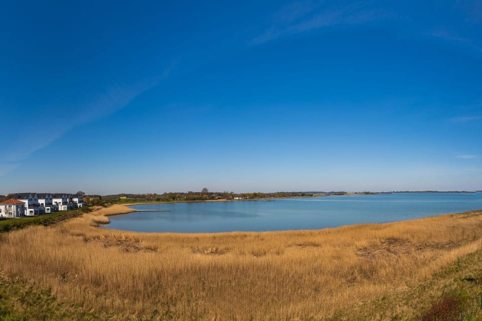 Natural landscape