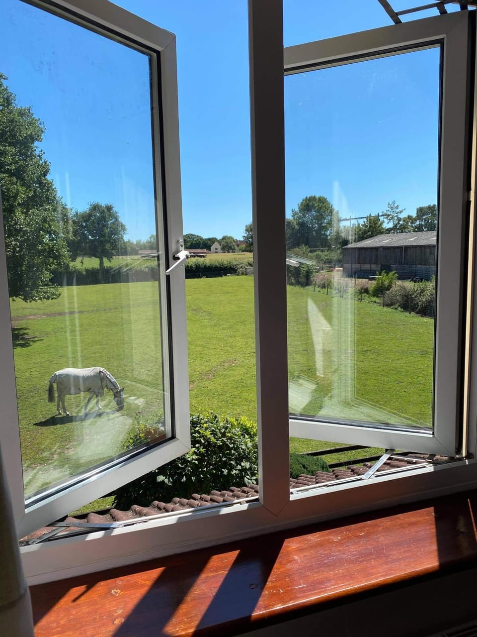 Natural landscape, Garden view