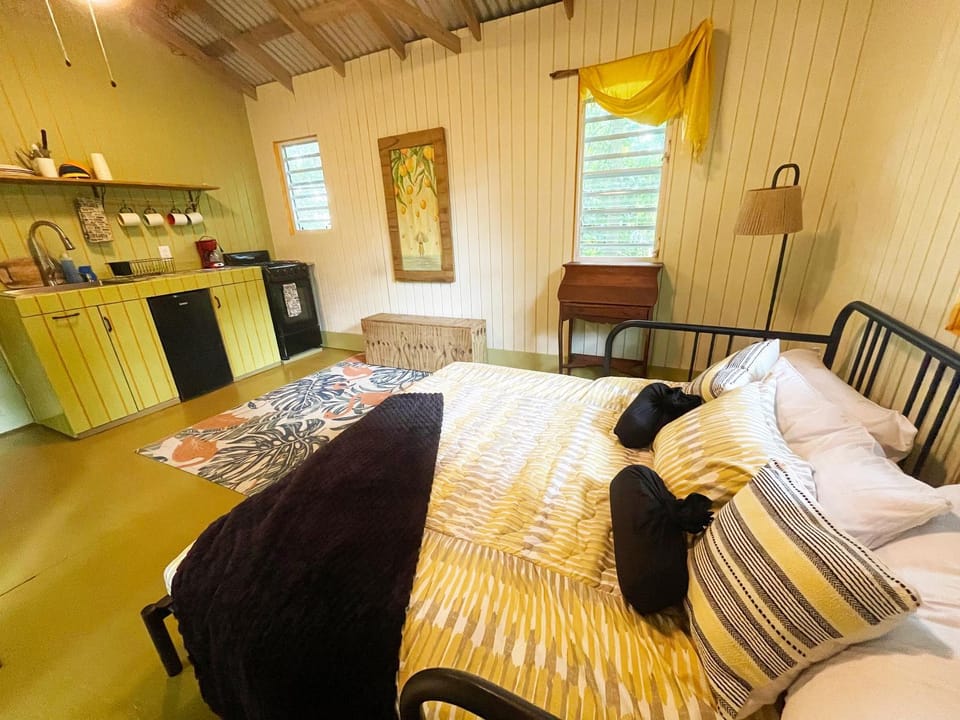 Bed, Kitchen or kitchenette, Photo of the whole room