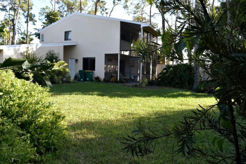 Garden view