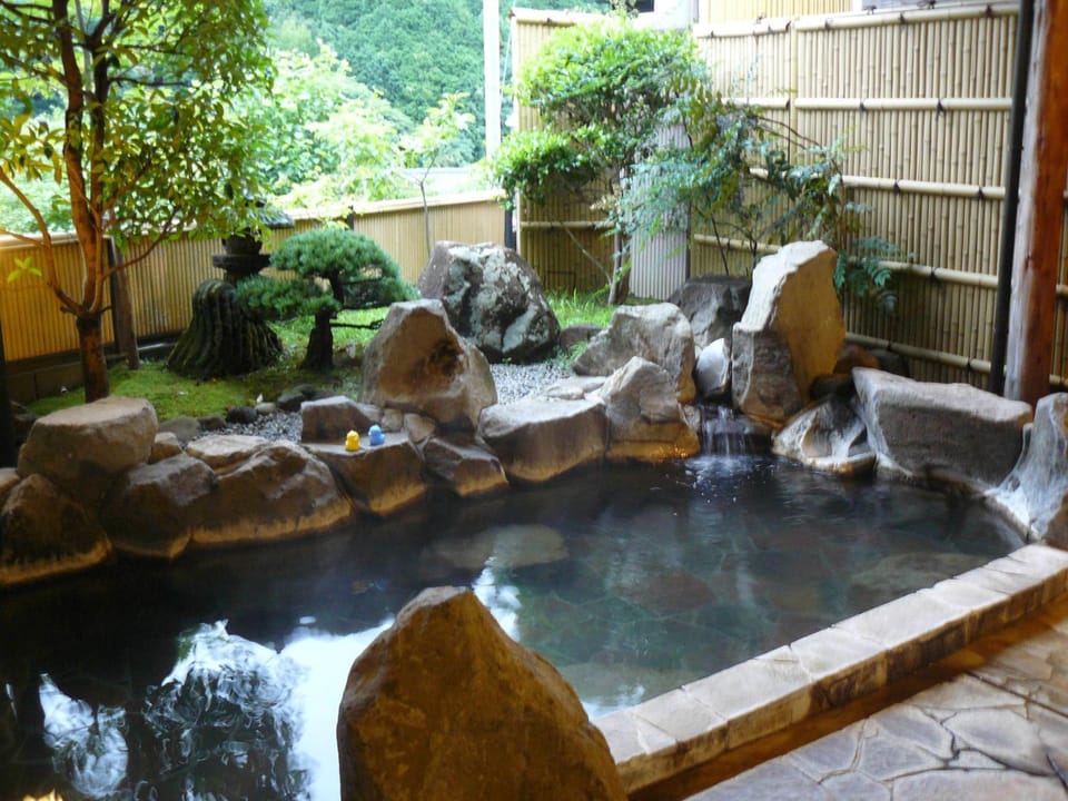 Hot Spring Bath, Spa and wellness centre/facilities