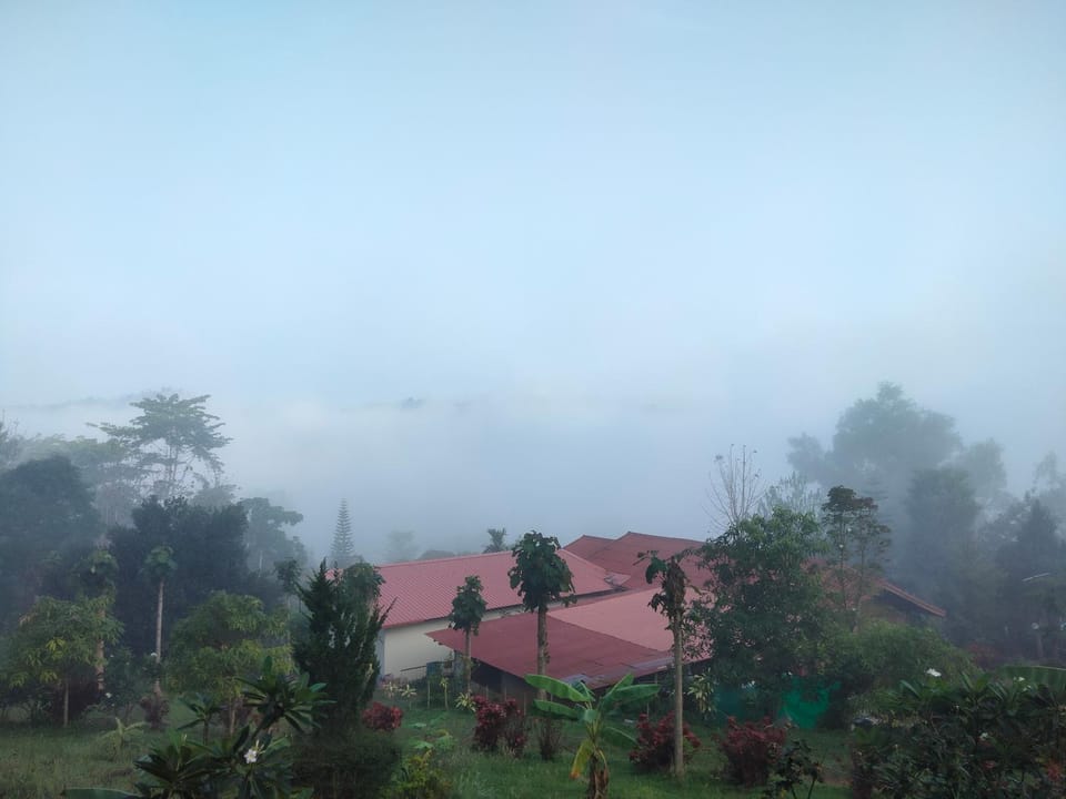 Natural landscape
