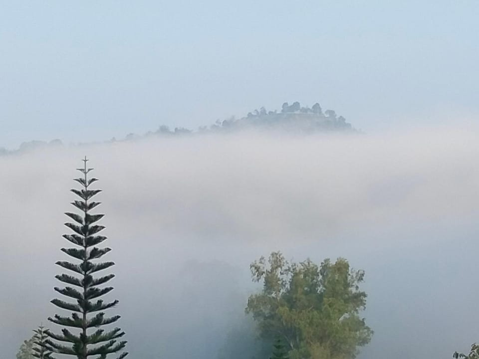 Natural landscape
