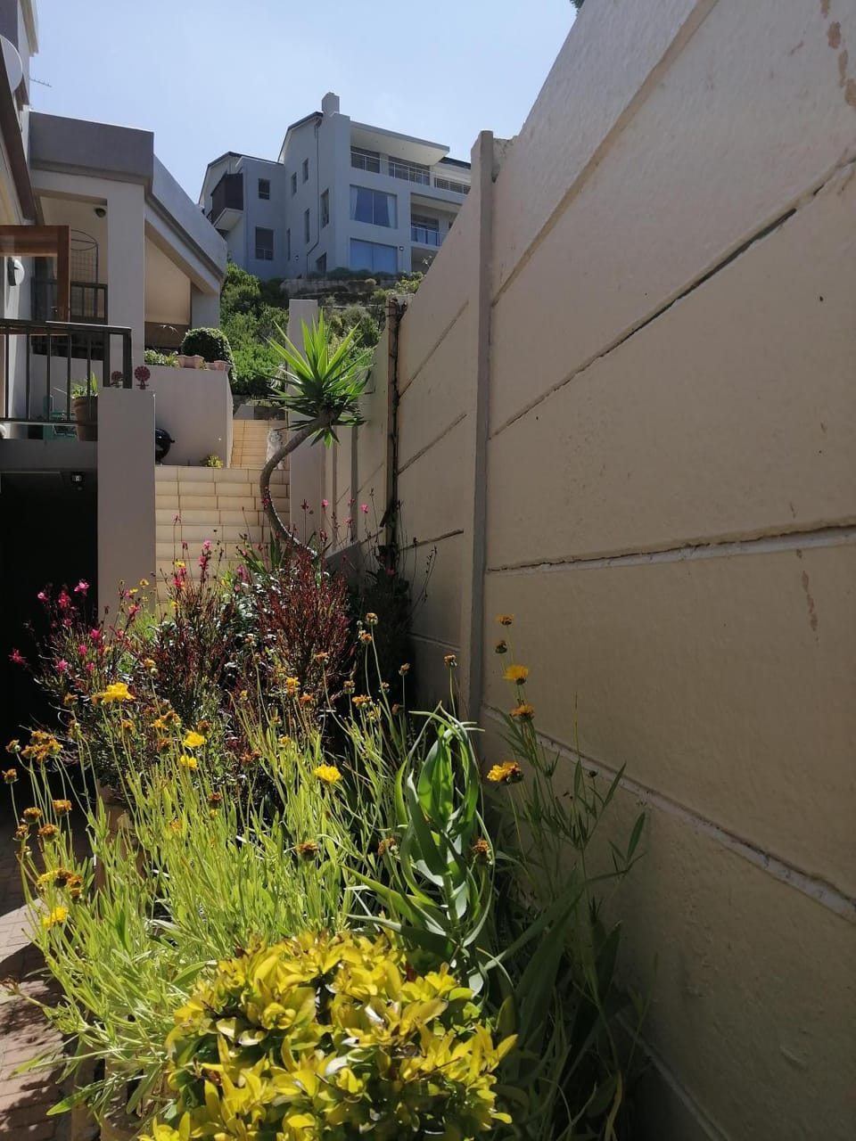 Froggy at the Pond Vacation rental in Cape Town