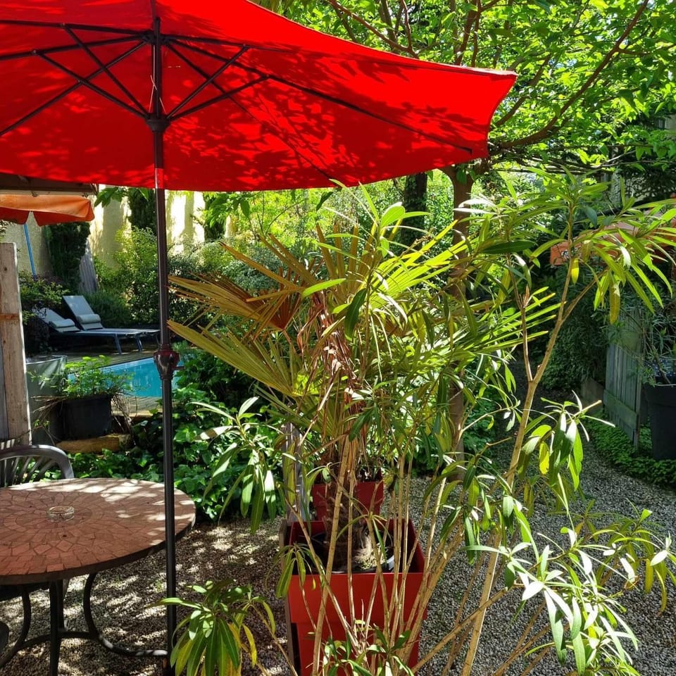 Patio, Garden, Garden view