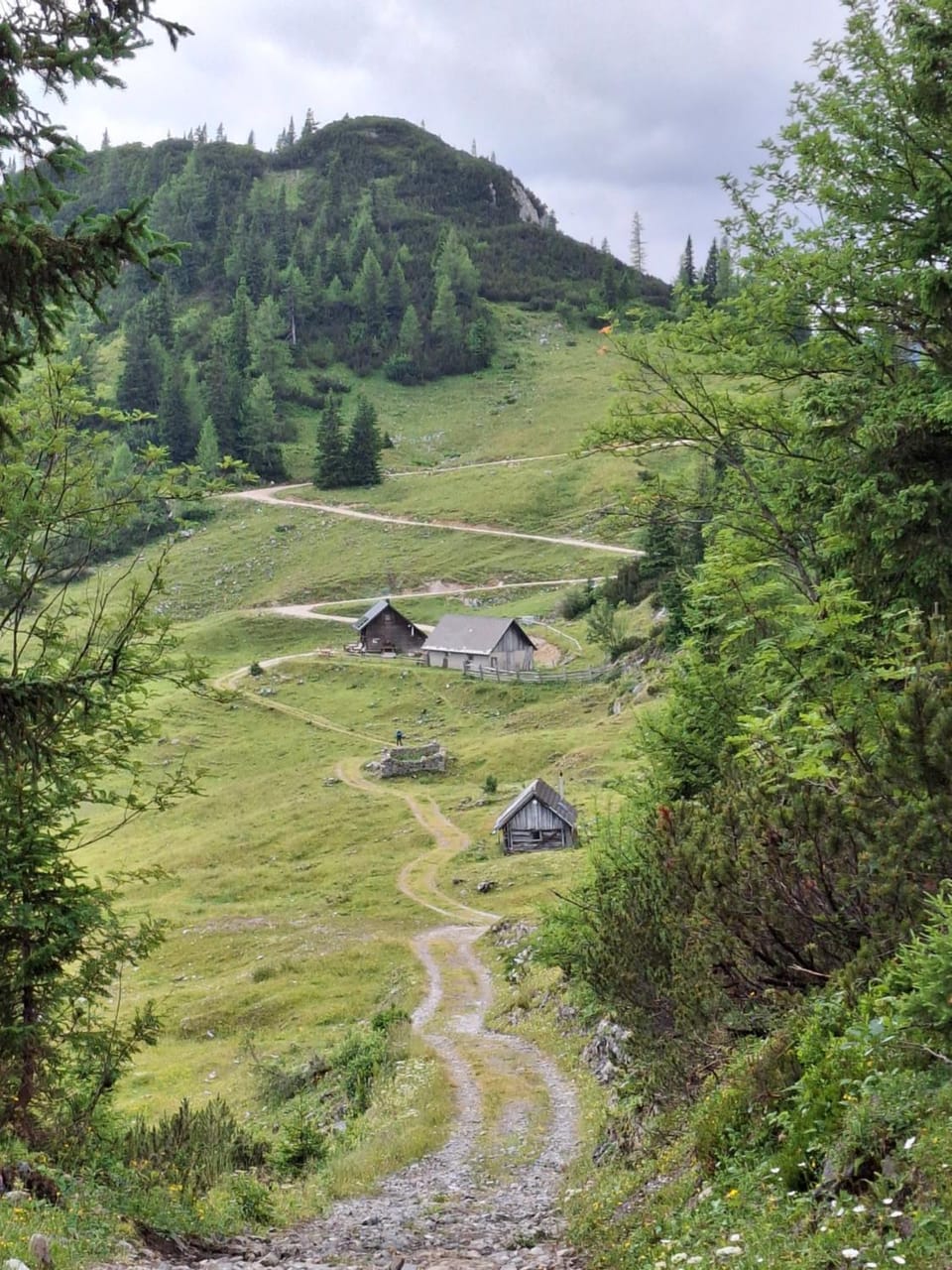 Natural landscape