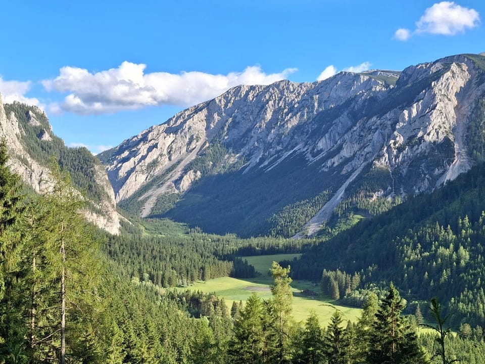Natural landscape