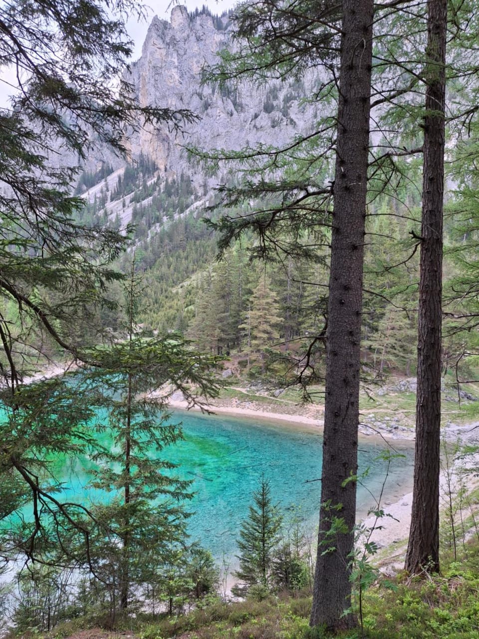 Natural landscape