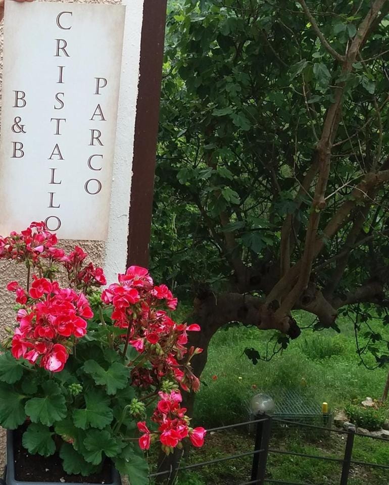 Casa Cristallo Bed and Breakfast in Marche