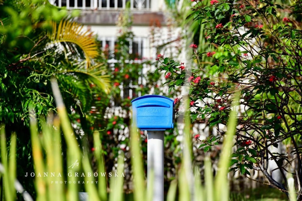 Ventnor House Apartments Apartment in Bridgetown