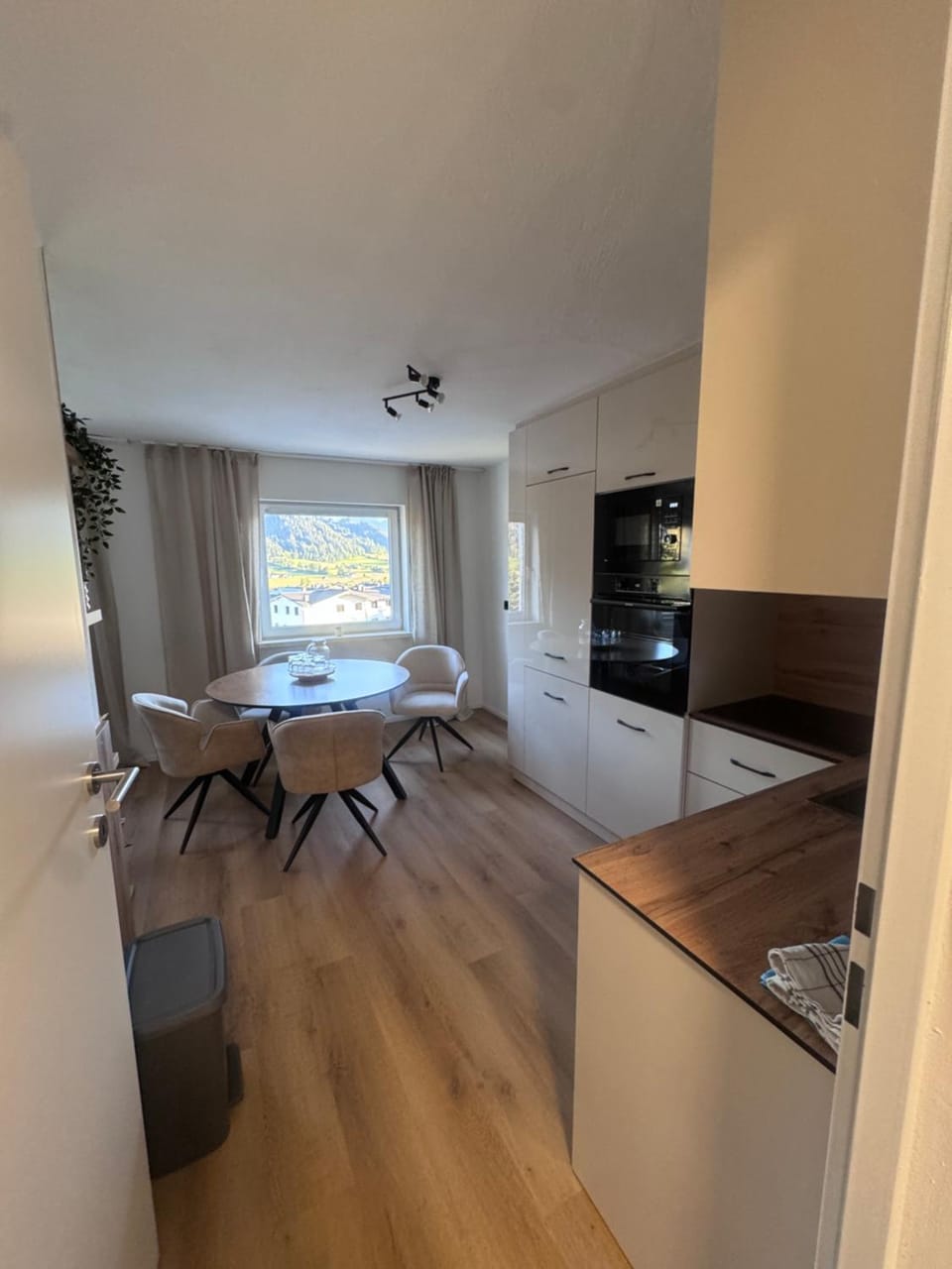 Kitchen or kitchenette, Dining area, oven, stove