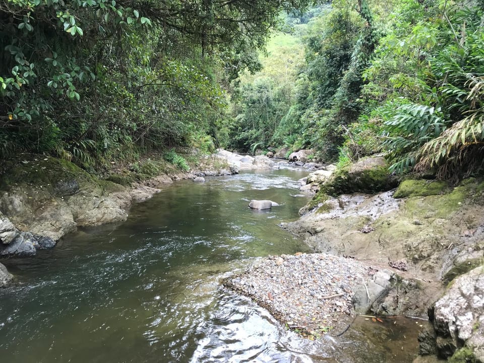 Natural landscape, River view
