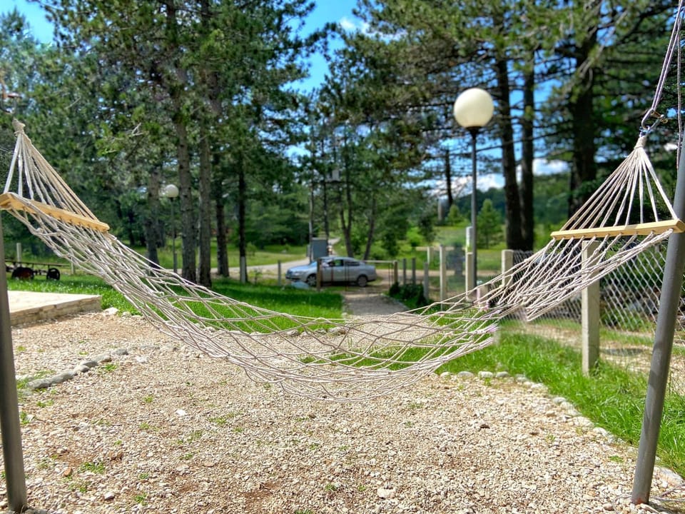 Spring, Day, Natural landscape, Garden, Garden view