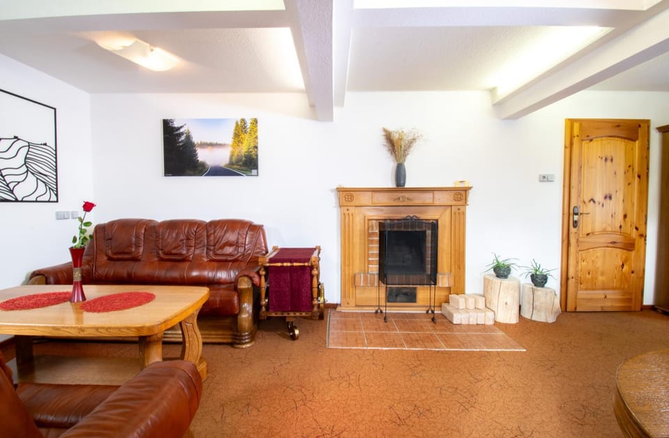 Communal lounge/ TV room, Seating area, Sports, fireplace, fireplace