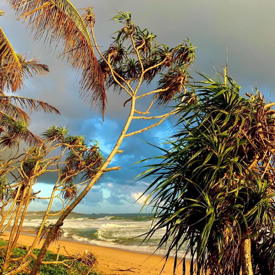 Natural landscape