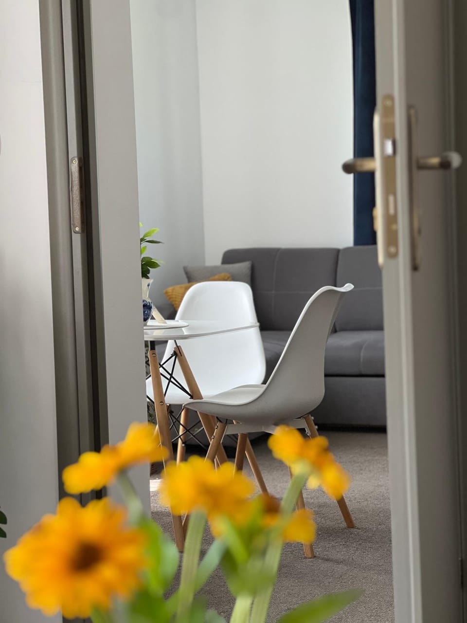 Apartament u Gogoca II Apartment in Lesser Poland Voivodeship