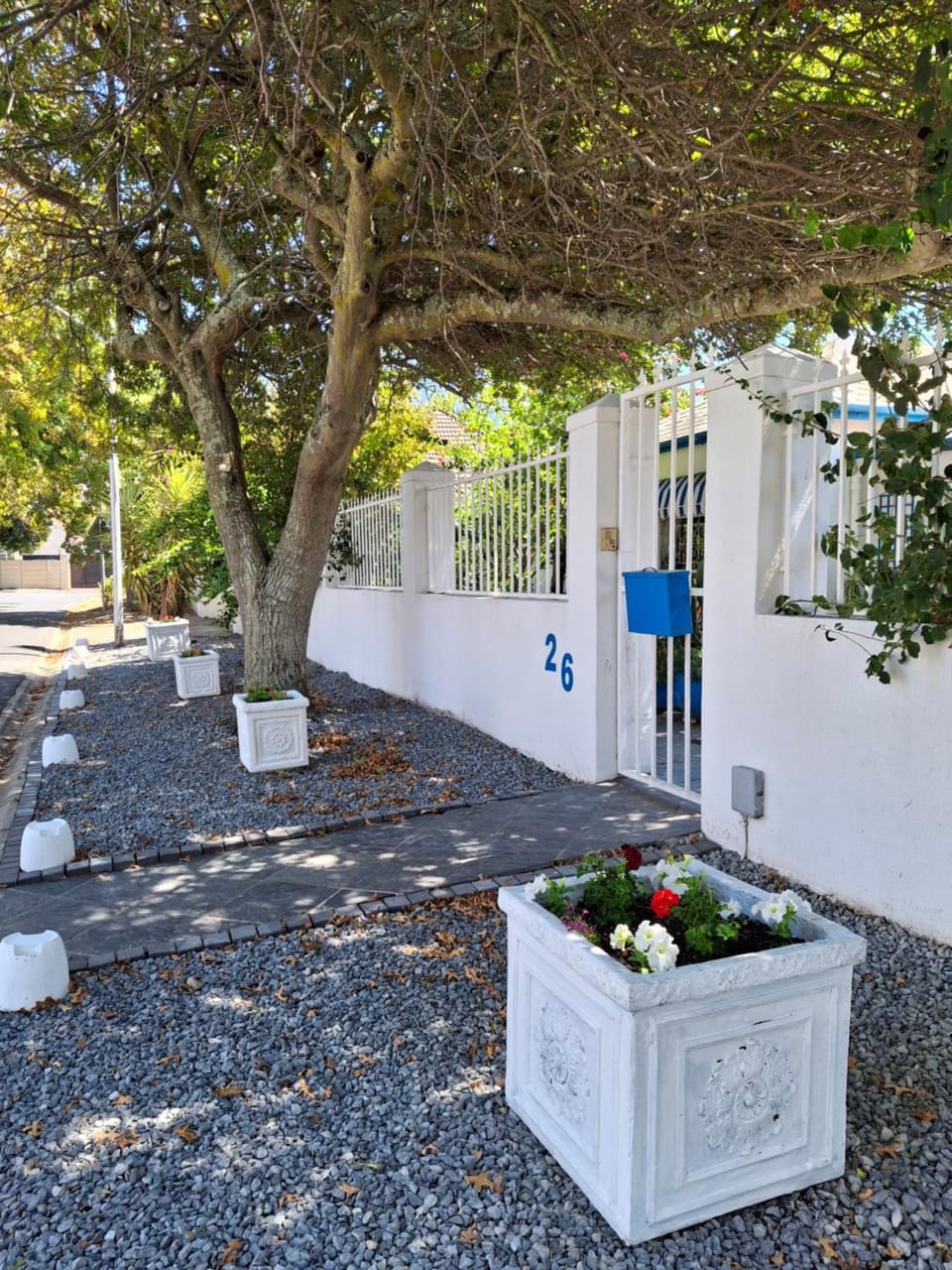 Garden view