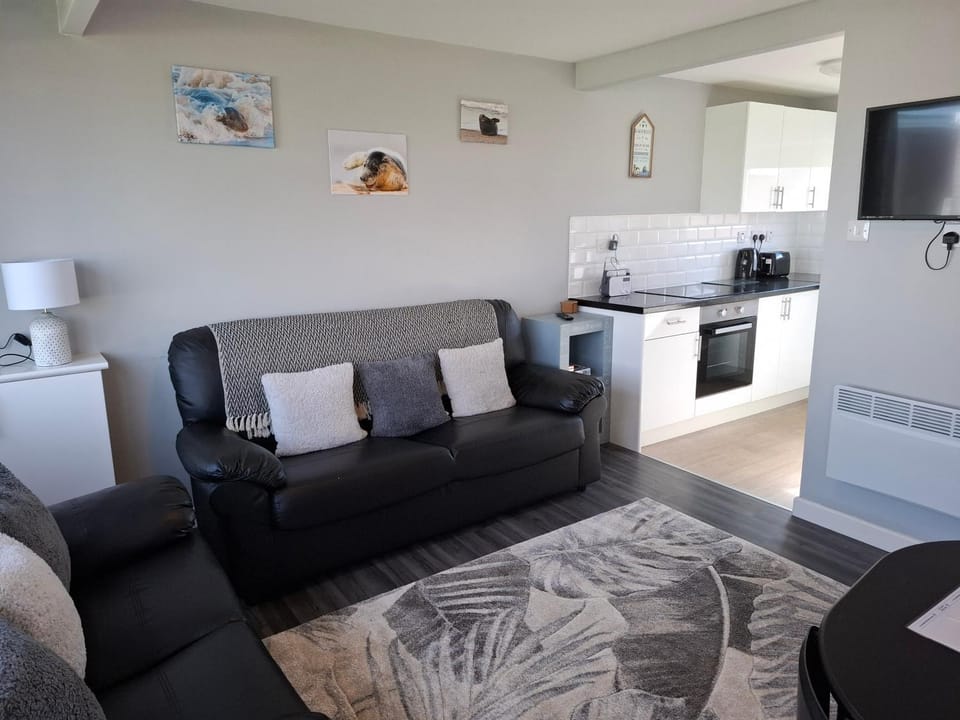 TV and multimedia, Kitchen or kitchenette, Living room, Seating area, Dining area, oven, pet friendly, stove, toaster
