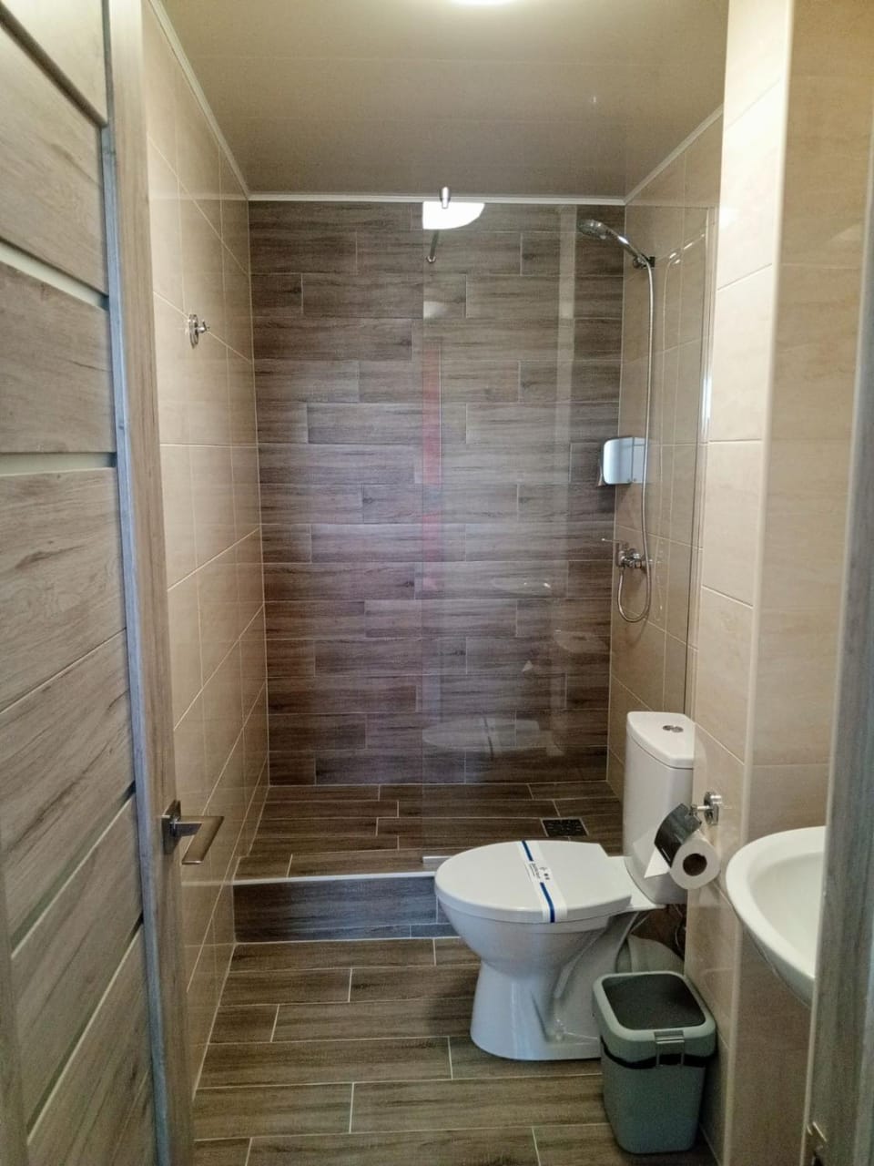 Shower, Toilet