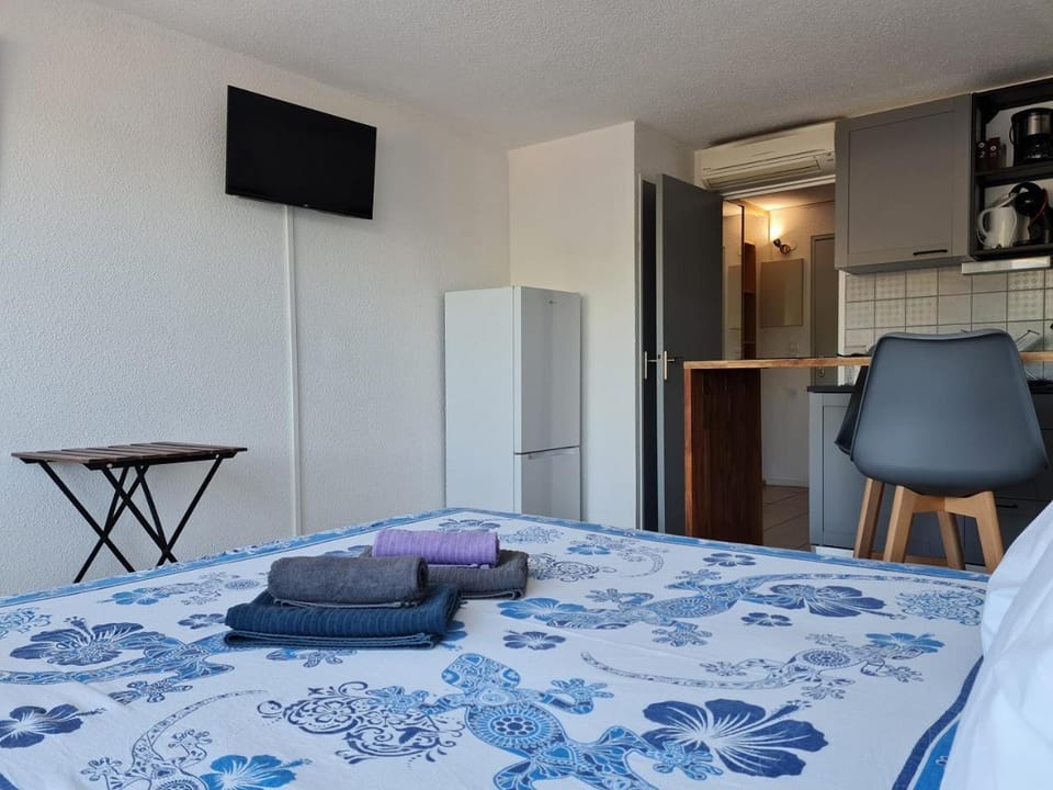 Studio 43 climatisé terrasse vue mer Apartment in Le Grau-du-Roi