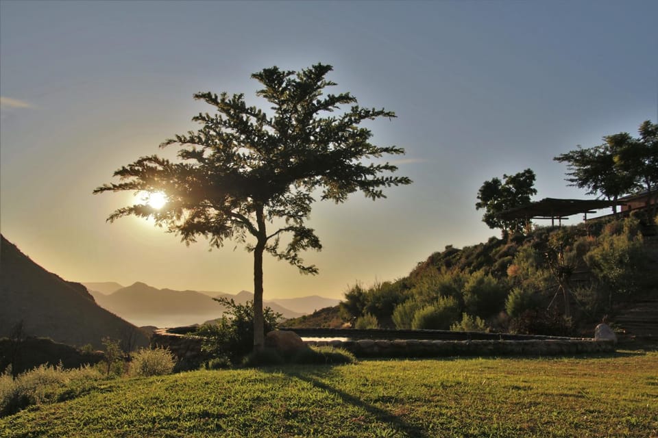 Mountain view