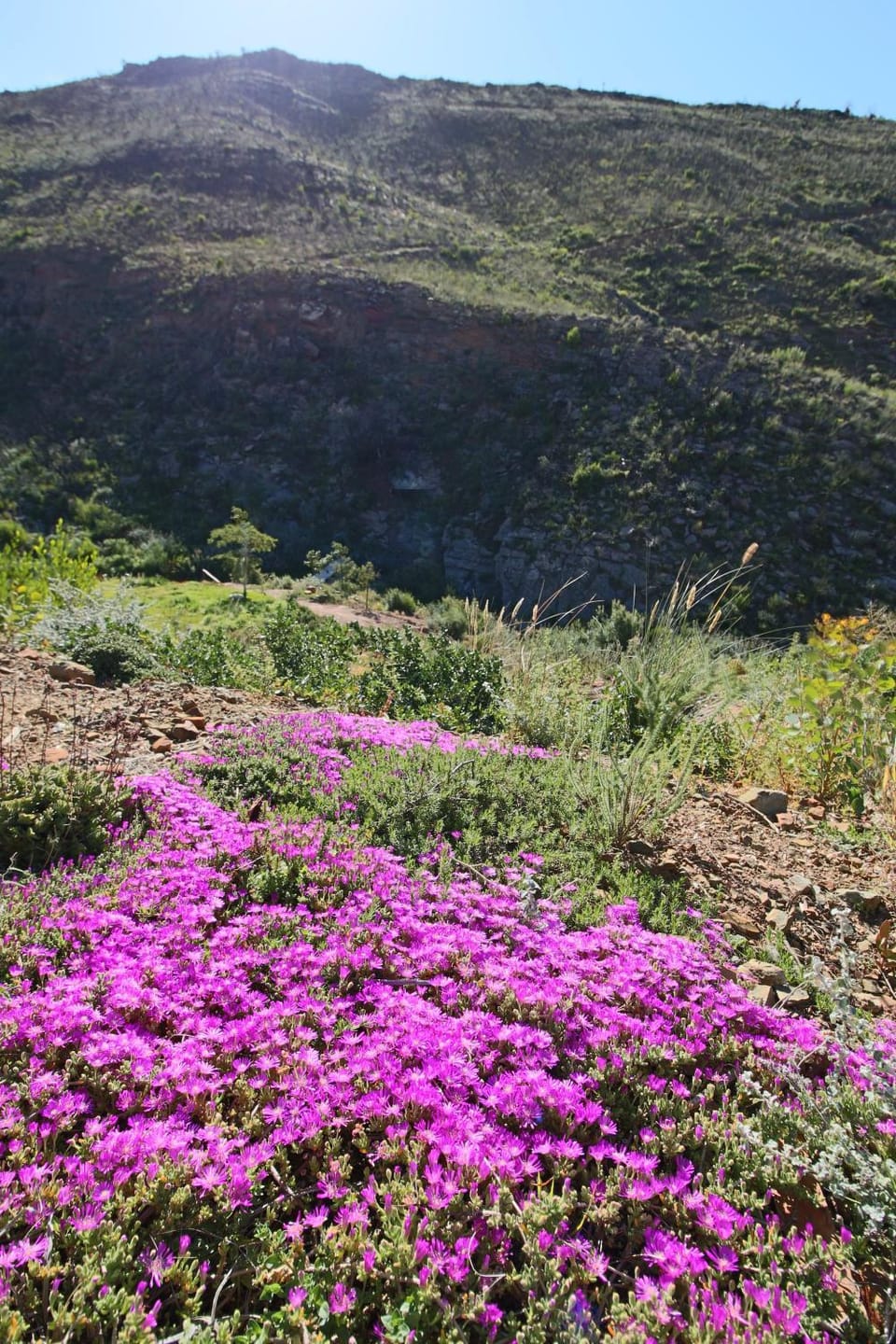 Spring, Natural landscape
