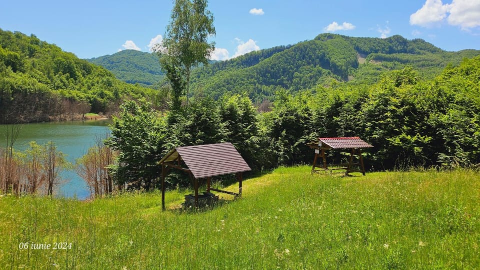 PENSIUNEA IZVORUL BUCURIEI Bed and Breakfast in Prahova, Romania