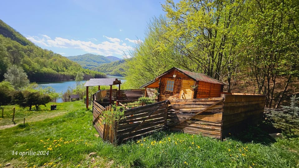 PENSIUNEA IZVORUL BUCURIEI Bed and Breakfast in Prahova, Romania