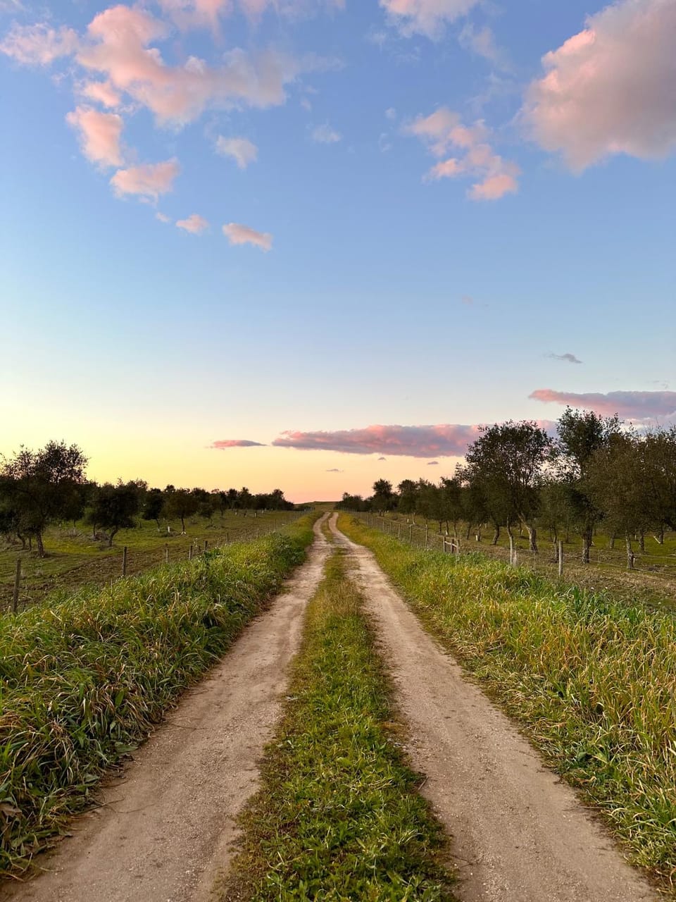 Hiking