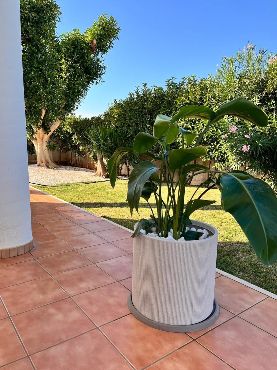Villa AlbeAle House in Province of Taranto