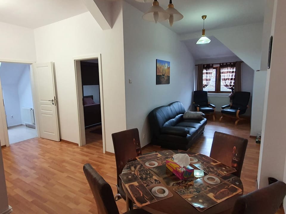 Diane's Apartament Apartment in Sibiu